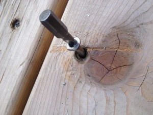 Stainless steel screw head